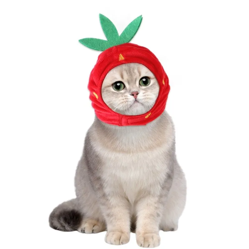 Strawberry Headgear For Cats