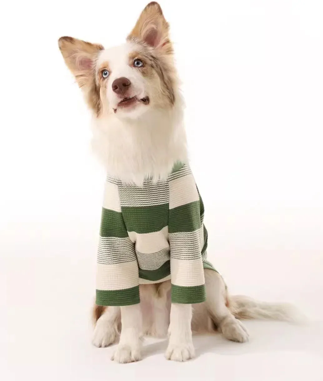 Stylish and Cozy Pet Clothes for Dogs and Cats - Perfect for Spring and Winter