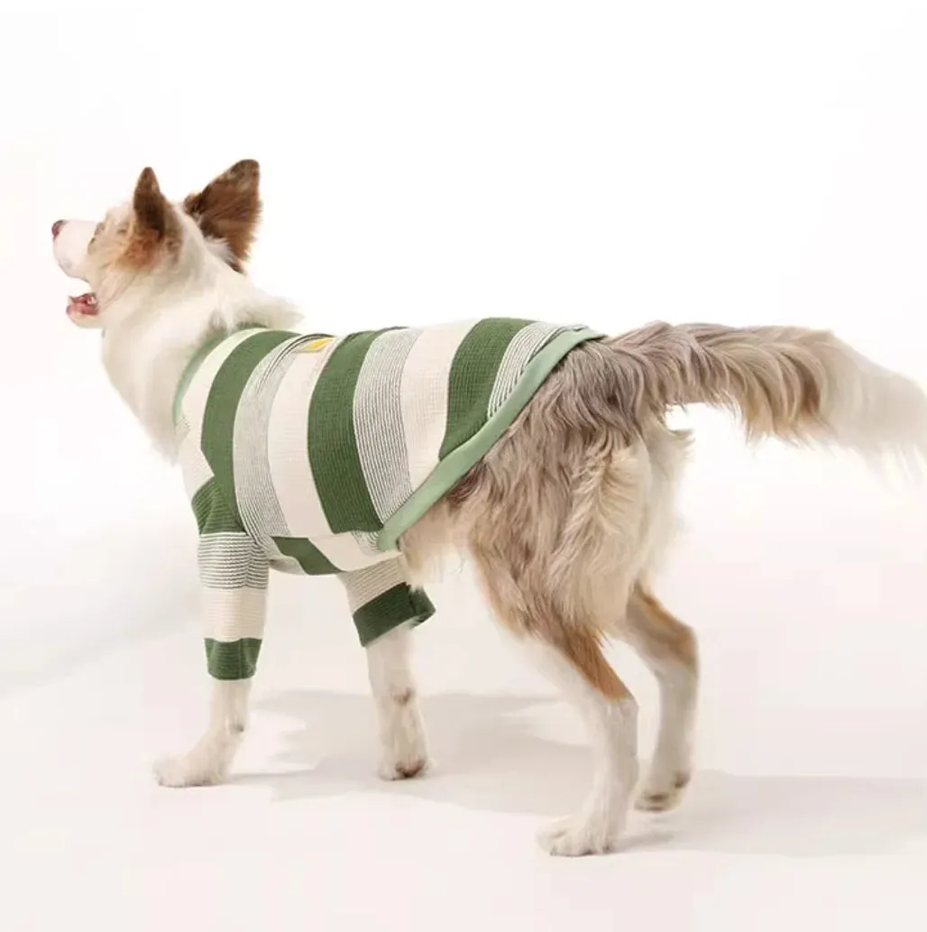 Stylish and Cozy Pet Clothes for Dogs and Cats - Perfect for Spring and Winter