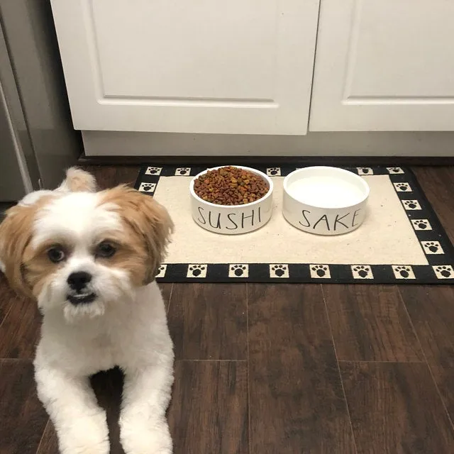 Sushi and Sake Funny White Ceramic Pet Food Bowls Set