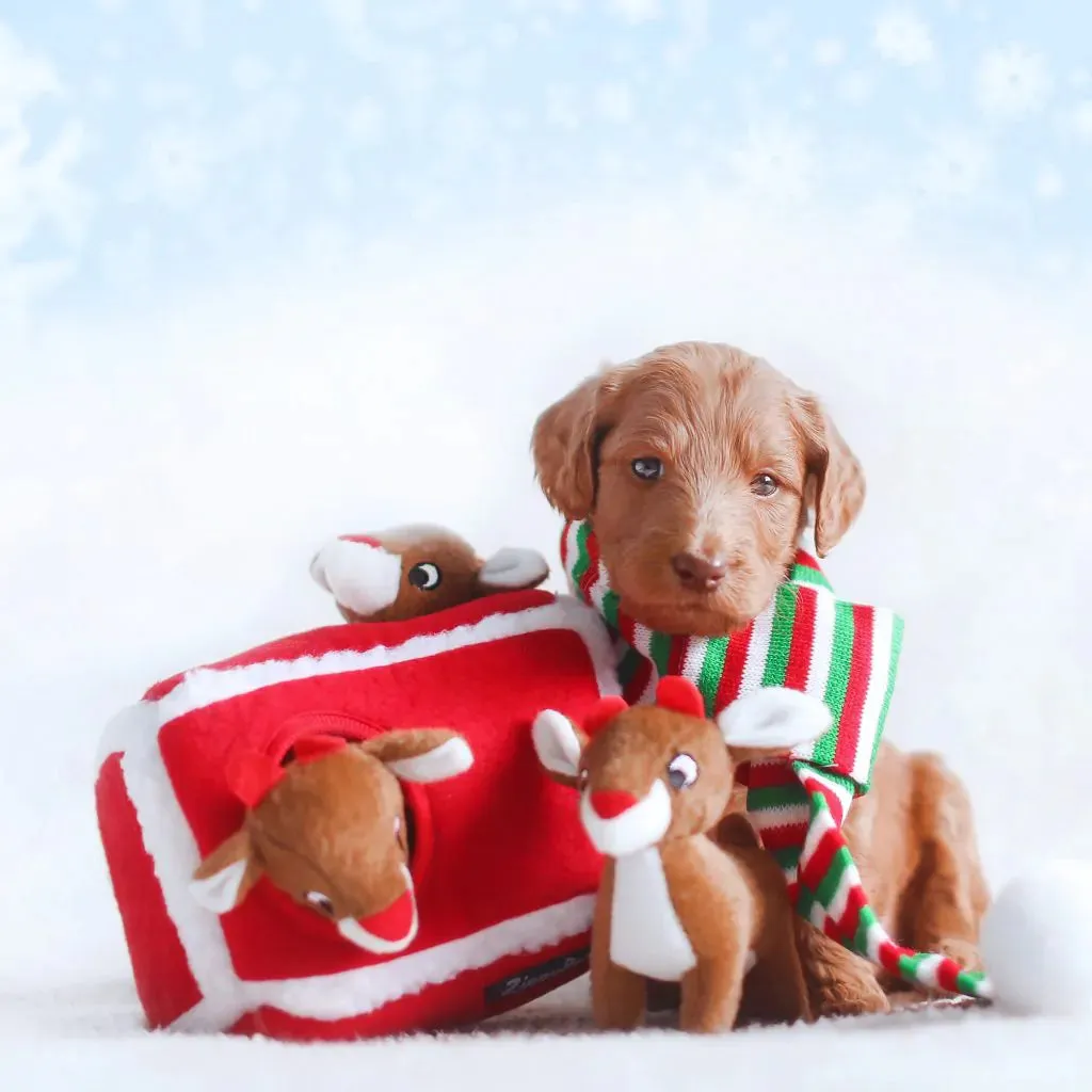 ZippyPaws Dog Toy Holiday Burrow Reindeer Pen