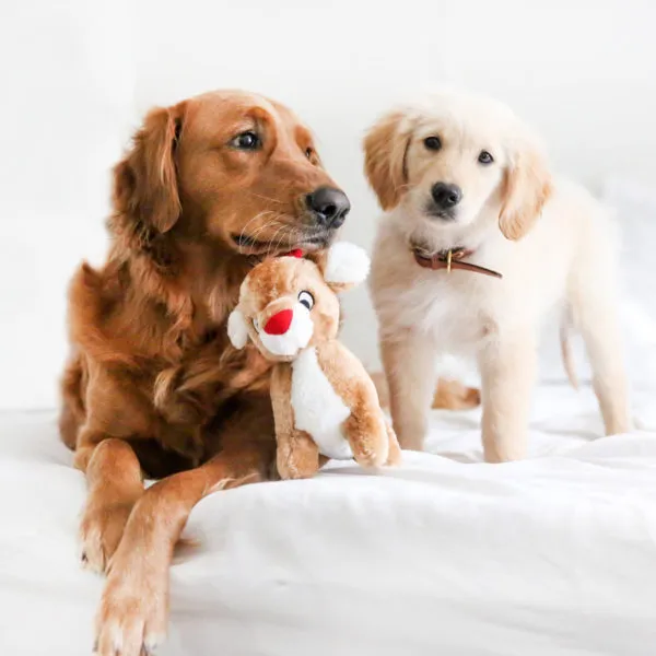 ZippyPaws Dog Toy Holiday Reindeer